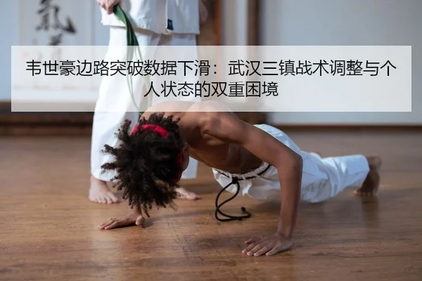 wei-shi-hao-bian-lu-tu-po-shu-ju-xia-hua-wu-han-san-zhen-zhan-shu-tiao-zheng-yu-ge-ren-zhuang-tai-de-shuang-chong-kun-2-404.jpg